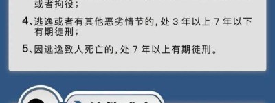 驾校教练醉酒驾驶，以身试法成“反面教材”！