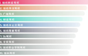 十大潍坊市B2驾校（潍坊哪个驾校可以考大车？）