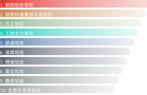 朝阳驾校前十名（朝阳哪家驾校口碑比较好一点？）