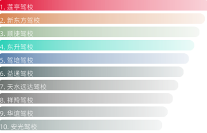 天水驾校排行榜（天水哪家驾校最好？）