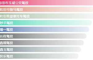 和田驾校前十名（和田哪家驾校口碑好？）