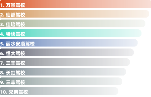 丽水市B2驾校排名（丽水哪个驾校可以考大车？）