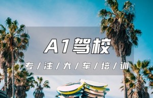 省心：南京高淳哪个地方可以增货车？驾照a1报考条件，驾驶证a1的报考条件是什么