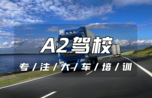 菏泽曹县A2驾照报名地点-A2可以开19座客车吗？